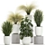 Exotic Greenery Collection in White Vase 3D model small image 1