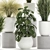 Exotic Greenery Collection in White Vase 3D model small image 2