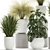 Exotic Greenery Collection in White Vase 3D model small image 3
