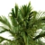 Tropical Serenity: Banana Palm and Wild Grass Outdoor Décor 3D model small image 3