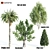 Diverse 4 Tree Set: Eucalyptus, Laurus, Palm, Pine 3D model small image 1