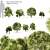 Mini Conifer Trees: 50-70cm Height 3D model small image 1