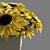 Sunny Beauty: Sunflower Bouquet 3D model small image 2