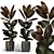 Lush Greenery: Indoor Plants 3D model small image 1