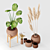 Wicker Vase Set - No.3 3D model small image 2