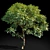 Tall Ash Tree | 8.7m Height 3D model small image 1