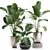 Exotic Plant Collection: Calathea, Banana Palm, Ravenala, and Strelitzia 3D model small image 1