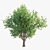 Dual Landscape Tree Set: Render-Ready 3D model small image 2