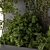 Verdant Oasis: Outdoor Ivy Green Wall 3D model small image 4