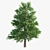 Evergreen Beauty: Corona Render Tree 3D model small image 2