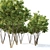  Majestic Ash Tree: 10m Height 3D model small image 2