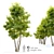 Tall Ash Tree: 10m Height 3D model small image 1