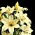 Elegant Flower Set: 3D Floral Decor 3D model small image 4