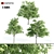 Tall & Majestic: 3 Ash Trees (11.35-13 Meter) 3D model small image 2
