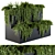 Lush Ivy Collection - Box Set 61 3D model small image 1