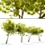 Majestic American Elm Tree 3D model small image 2