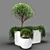 PolyPlant: 448k Unique Foliage 3D model small image 2