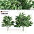 Tall Elm Trees: 14-16m 3D model small image 1