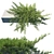 Retaining Wall Juniperus: Horizontalis 3D model small image 1