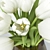 Snowy Blooms: White Tulips in Vase 3D model small image 3