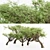 Acacia 02 Tree Collection: Variety of Heights & Excellent 3D Detail 3D model small image 1