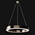 Elegant Pendant Lighting 3D model small image 1