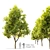 Natural Alder Tree - 9m Height 3D model small image 1