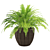 Versatile Plant Collection - High Detail 3D model small image 1