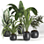 Botanical Bliss: 4 Plant Collection 3D model small image 1