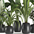 Botanical Bliss: 4 Plant Collection 3D model small image 2