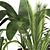 Botanical Bliss: 4 Plant Collection 3D model small image 3