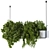 Lush Hanging Box Plants - Set of 70 3D model small image 2