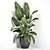 Exotic Corner Plant Collection 3D model small image 2