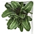 Exotic Corner Plant Collection 3D model small image 3