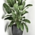 Exotic Corner Plant Collection 3D model small image 4