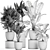 Exotic Plant Collection in Black Vase 3D model small image 5