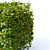 Spirea Hedge - Bendable Birch-leaved Greenery 3D model small image 4
