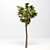 Giant Majesty Palm: 28m Tall 3D model small image 1