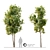 Twin Pine Trees - 5m Height 3D model small image 1