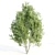 Diverse 11-Tree Set: V-Ray 3D model small image 2