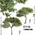 Italian Pine Pair: Elegant & Durable 3D model small image 1