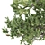 Italian Pine Pair: Elegant & Durable 3D model small image 4