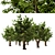 Summer Apple Tree: 3.5m Height 3D model small image 5