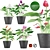 Colorful Anthurium Collection: Coral, Red, White, Purple, Pink 3D model small image 1