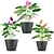 Colorful Anthurium Collection: Coral, Red, White, Purple, Pink 3D model small image 3