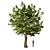 Variety Tree Set: Chinaberry, Silver Birch, Apple 3D model small image 3