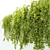 Leafy Greens Hanging Plant Pair 3D model small image 2