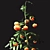 Vibrant Tomato Plant with Beautiful Vase 3D model small image 3