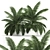 Tropical Plant Collection: Exotic Palms & Botanical Beauties 3D model small image 1