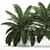 Tropical Plant Collection: Exotic Palms & Botanical Beauties 3D model small image 2